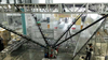 360 -Grad -Riesenspiegel Holographische Reflektierfolie 50 Meter Roll
